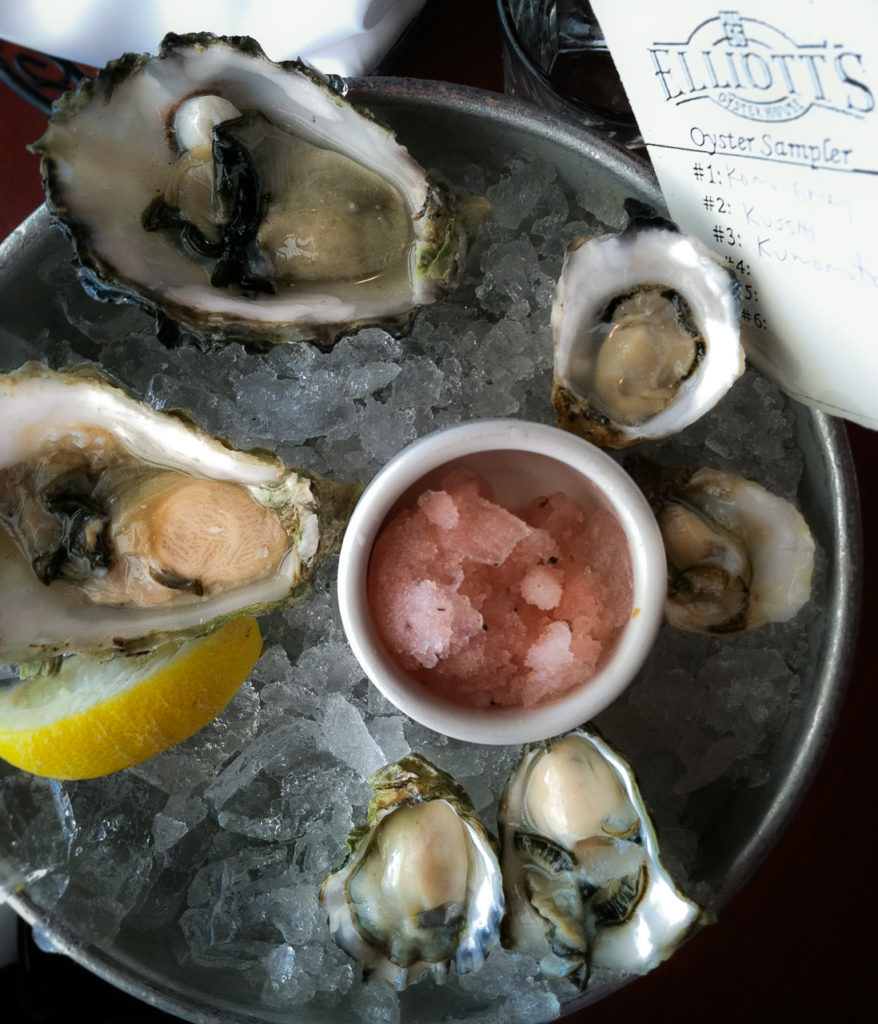 o is for oysters and ocean threats